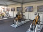 Kopiert - CO2-Bike - Bewusstsein für Umwelt und Energie schaffen - Galerie - Bild 3
