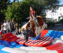 Rodeo Bullriding