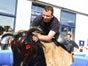 Bullriding | Rodeo | Bullenreiten mieten für Veranstaltungen und Events - Galerie - Bild 2
