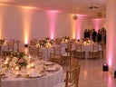 Ambientebeleuchtung mieten ab 17,90 €: Akku-Uplights für Hochzeit und Location ✓ kabellos ✓ kautionsfrei - Galerie - Bild 1