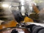 WAFFEL STAND INKL. PERSONAL & WARE - Galerie - Bild 2