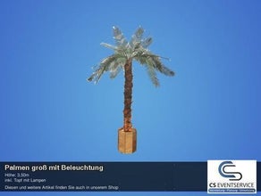 Palmen klein mit Beleuchtung