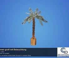 Palmen groß mit Beleuchtung Palme Beachbar Hawaii Karibik