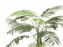 Kunstpflanze - Palme - 210 cm