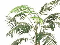 Kunstpflanze - Palme - 210 cm