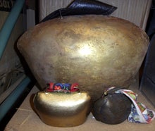 Kuhglocken, Kuh, Glocke, Kalb, Alm, Alpen, Bauernhof, Tier