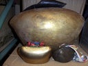 Kuhglocken, Kuh, Glocke, Kalb, Alm, Alpen, Bauernhof, Tier