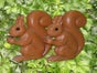Eichhörnchen - Galerie - Bild 2