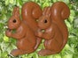 Eichhörnchen - Galerie - Bild 2