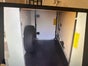 Carado A132 4 Sitz 4 Schlafplätze - Galerie - Bild 3