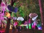 Wolken - Gewitterwolken - Himmel - Regenwolken - Galerie - Bild 2