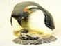 Pinguin Figuren, Eiswelt, Arktis, Tier, Wildtier - Galerie - Bild 2