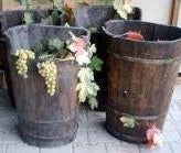 Weinkiepen, Wein, Weinlese, Weintrauben, Bottich, Holzbottich, Kiepe