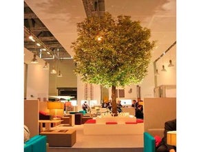 Steineiche mit Sitzbank (extern)