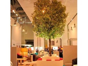 Steineiche mit Sitzbank (extern)
