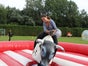 Bull Riding / Rodeo Bulle - Galerie - Bild 3