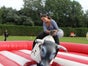 Bull Riding / Rodeo Bulle - Galerie - Bild 3