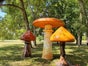 Pilz, Riesenpilz, Wonderland Pilze, Herbst Dekoration - Galerie - Bild 2