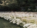 Ghost Chair - Victoria transparent - Galerie - Bild 1