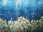 Korallenriff Kulisse, Unterwasser, Meer, Tauchen, Taucher - Galerie - Bild 2