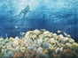 Korallenriff Kulisse, Unterwasser, Meer, Tauchen, Taucher - Galerie - Bild 2