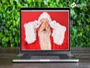 Weihnachtsmann Online-Besuch buchen