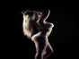STRIPPERIN KARA KAY VERSPRICHT KEINE HALBEN SACHEN! - Galerie - Bild 4