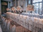 Stuhl RICH 4 Farben mieten Ghost-Style klar braun grün smoke weds4rent - Galerie - Bild 2