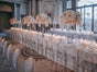 Stuhl RICH 4 Farben mieten Ghost-Style klar braun grün smoke weds4rent - Galerie - Bild 2
