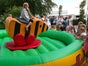 Tigerenten Rodeo Tigerentenrodeo Simulation - Galerie - Bild 2