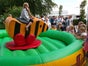 Tigerenten Rodeo Tigerentenrodeo Simulation - Galerie - Bild 2