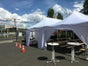 Mastertent Faltzelt 4 x 8m - Galerie - Bild 2