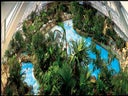 Center Parcs Bispinger Heide