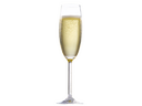 Sektglas Elegance (je 40 Stück)
