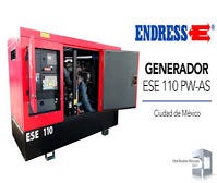 Stromerzeuger Endress ESE 110 PW