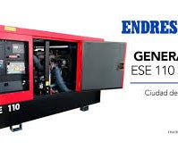 Stromerzeuger Endress ESE 110 PW