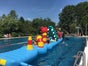 Wasserhindernis Parcours "Seamonster" - Galerie - Bild 3