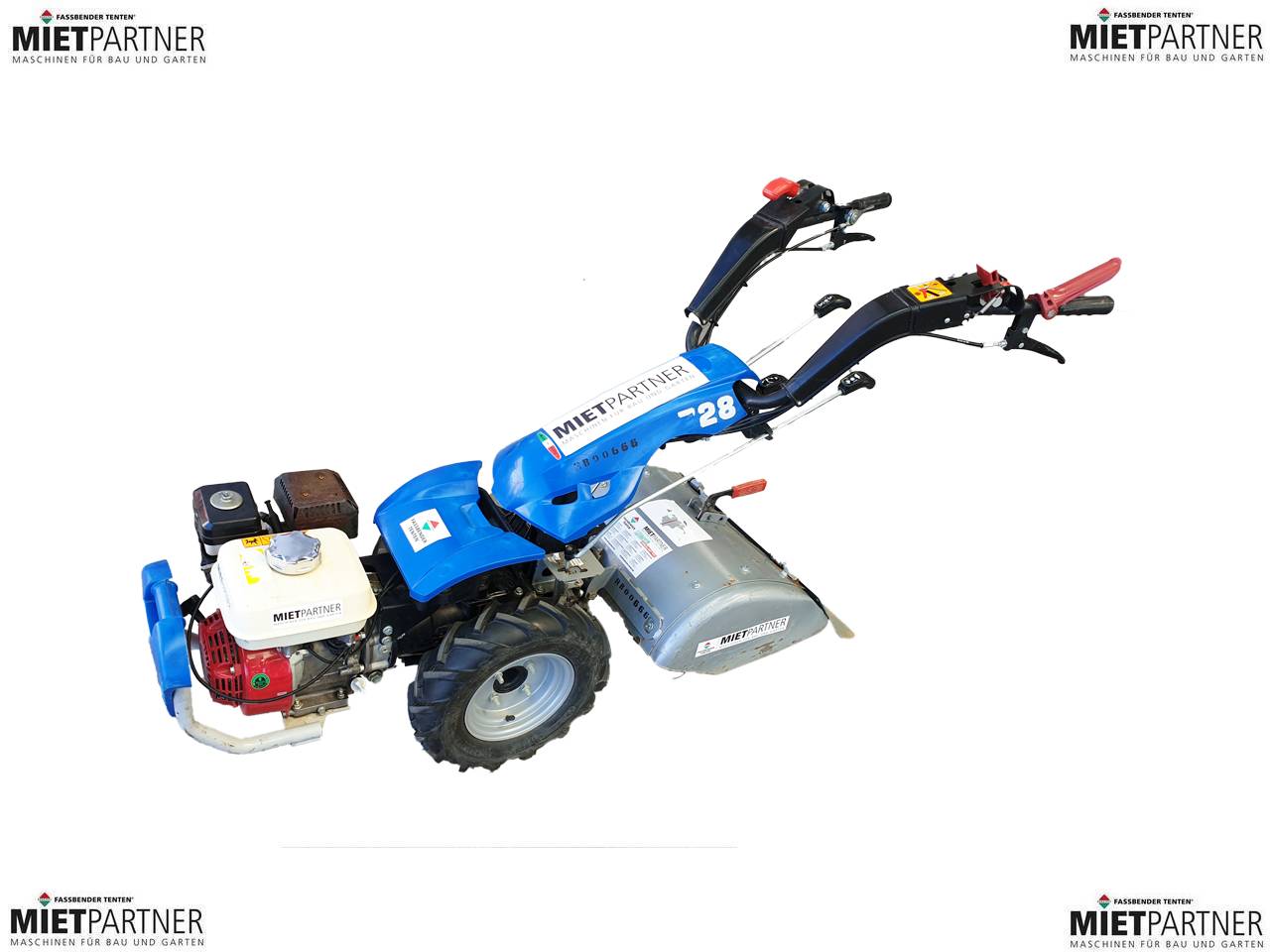 Gartenfrse 52 cm, Gartenfrse - 3052537385 mieten | Erento.com