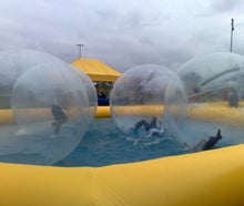 Wasserlaufbälle inkl. Pool mieten