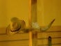 Cowboyhutwerfen - Galerie - Bild 3
