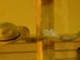 Cowboyhutwerfen - Galerie - Bild 3