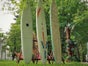 Surfbrett - Surfbretter - Galerie - Bild 3