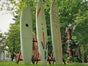 Surfbrett - Surfbretter - Galerie - Bild 3