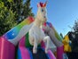 Hüpfburg Einhorn mit Rutsche zu vermieten - Galerie - Bild 4