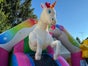 Hüpfburg Einhorn mit Rutsche zu vermieten - Galerie - Bild 4