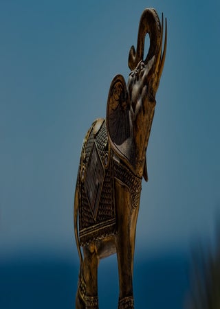 hero image
