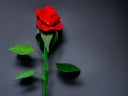Rote Rosen 2,5 m - Riesenblumen