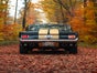 Ford Mustang Fastback Oldtimer Hochzeitsauto mieten - Galerie - Bild 4