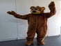 Barney Bear Walkact - Galerie - Bild 2