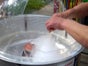 ZUCKERWATTEMASCHINE | ZUCKERWATTE | KLEIN, MITTEL ODER GROß - Galerie - Bild 4